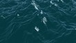 Video: Foam on the water Foam on the water