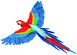 Flying Parrot