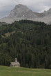 Aravis