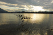 Carpfishing Carpfishing