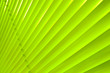 Green background