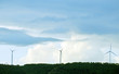 Ecologia