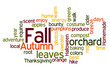 Fall Colors Wordcloud in Red and Orange