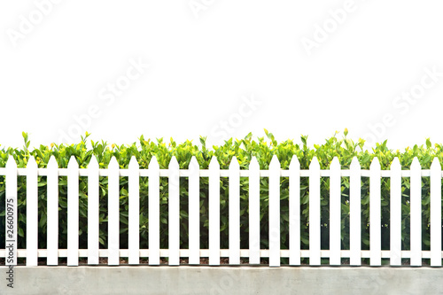Photo: white picket fence strip with green garden bushes white picket fence strip with green garden bushes