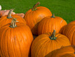 Photo: Colorful pumpkins for Halloween Scary Jack Colorful pumpkins for Halloween Scary Jack