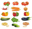 The big colorful group of vegetables. Photo-realistic vector. The big colorful group of vegetables. Photo-realistic vector.
