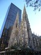 Cathédrale Saint Patrick