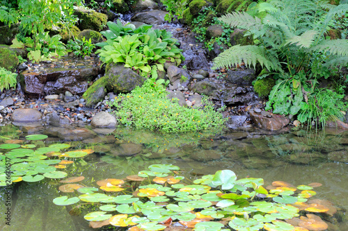 Photo: Small Waterfall and Pond Small Waterfall and Pond