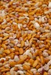 Beans 2