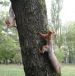 белки