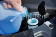Photo: Filling the Windshield Washer Fluid Filling the Windshield Washer Fluid