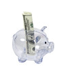 Money in a Piggy Bank