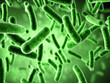 Illustration: Bacteria Bacteria