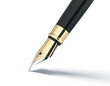 Fountain pen