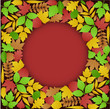 Vektor: Green and Autumn Leaves Background Green and Autumn Leaves Background