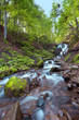 Autumn mountain waterfall in forest. Beauty wild nature landscap