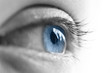 Oeil ouvert, semi profil Oeil ouvert, semi profil