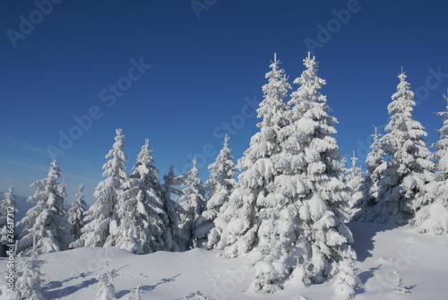 Foto: Wintermärchen Wintermärchen