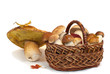 mushroom