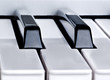 Piano key closeup Piano key closeup