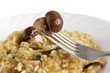 risotto con funghi porcini - risotto with mushroom closeup risotto con funghi porcini - risotto with mushroom closeup