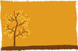 autumn tree background with space for your text