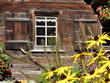 Zwei Fenster mit Blumen an altem Bauernhau