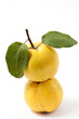 Fresh yellow quinces