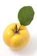 Fresh yellow quince