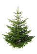 Photo en ligne au meilleur prix Christbaum ohne Schmuck auf wei�