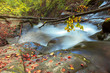 Mountain river waterfall in wild Carpathian forest