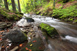 Mountain river waterfall in wild Carpathian forest