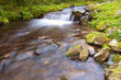 Mountain river waterfall in wild Carpathian forest