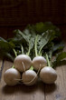 White radish with leaves