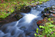 Mountain river waterfall in wild Carpathian forest