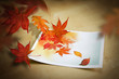 Autumn Coming To Life Autumn Coming To Life