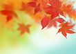 Beautiful Autumn Background Beautiful Autumn Background