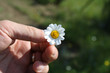 Flower in Hand