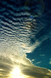 cielo