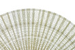 ivory fan, photographed against the light ivory fan, photographed against the light