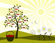 cherry tree and daisies cherry tree and daisies