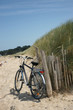 paysage plage 52