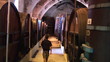 Wine grower walking in a corridor surrounded by barrels