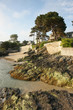 paysage plage 50