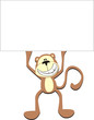 monkey promotor