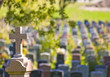 Montreal cemetery