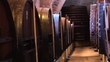View of a corridor with wine barrels