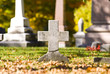 Montreal cemetery