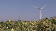 One wind turbine in activity on a field