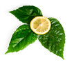 Cross section of yellow lemon